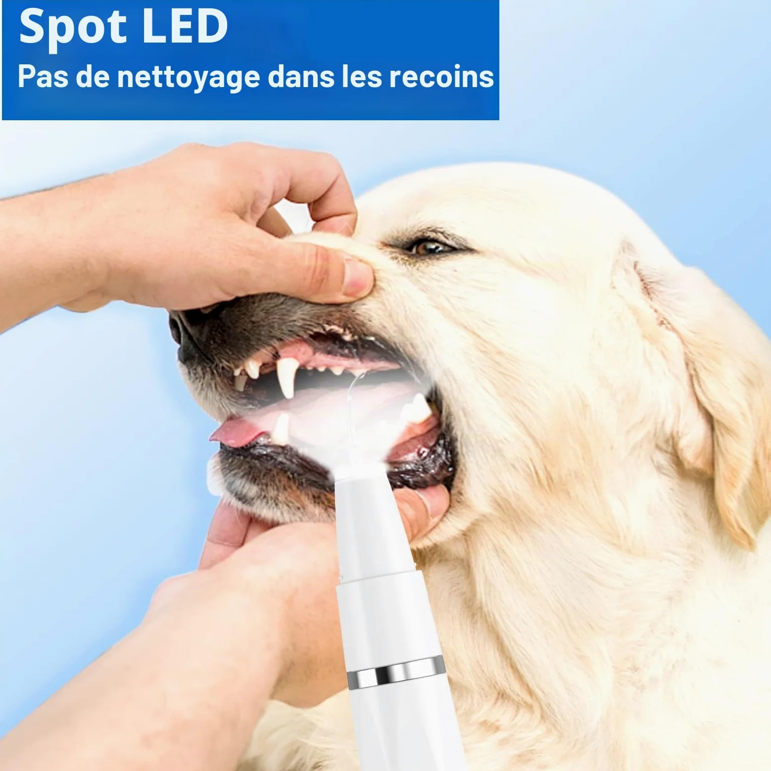 Lot de 8 brosses à dents à ultrasons pour chiens et chats - Pour nettoyer les dents des chiens et chats (Blanc)