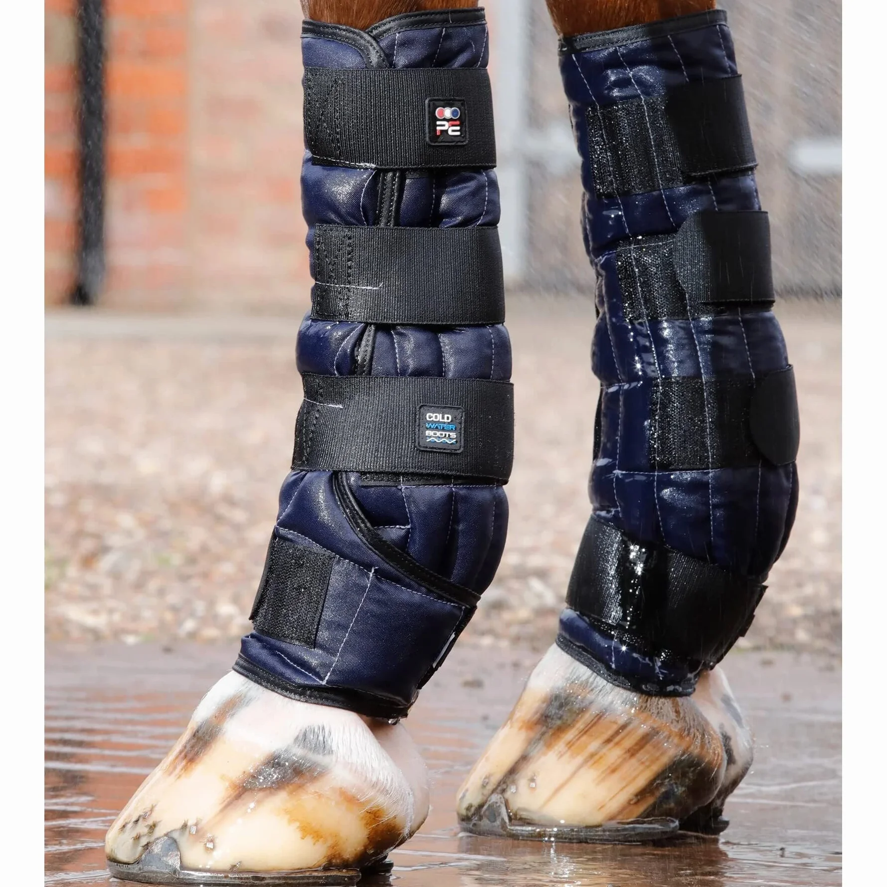 Premier Equine Guêtres pour Cheval Eau Froide