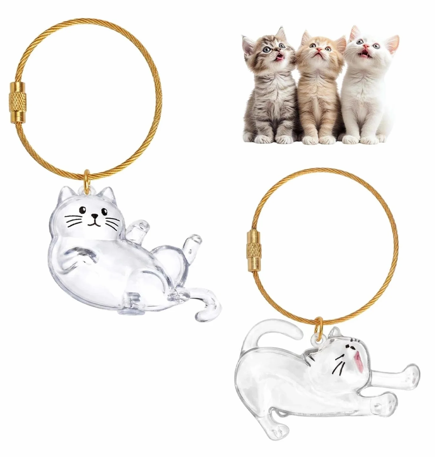 Boîte à Souvenirs pour Poils d'animaux de Compagnie, Porte Clef Chat, Porte Clé Chat, Porte-Clés Souvenir de Poils d'animaux de Compagnie pour Amoureux des Animaux Souvenir Chien Chat Décédé
