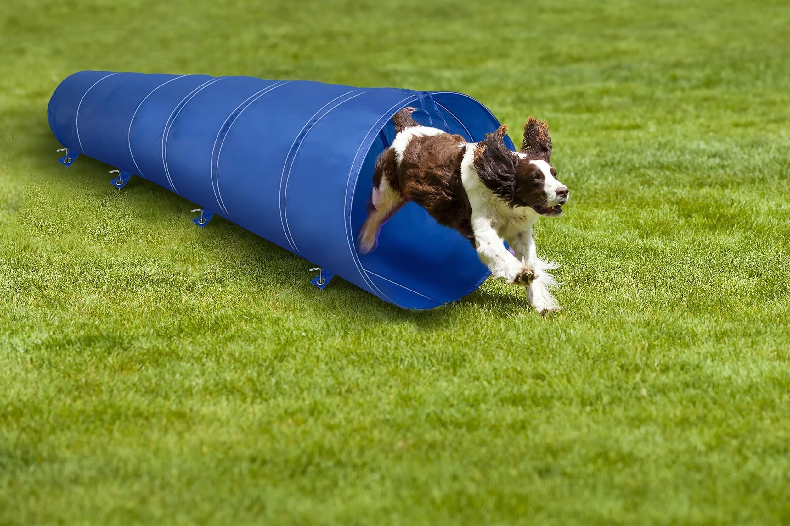 Maxxpro Tunnel d'agilité pour Chien Pliable 3 m avec Sac de Transport