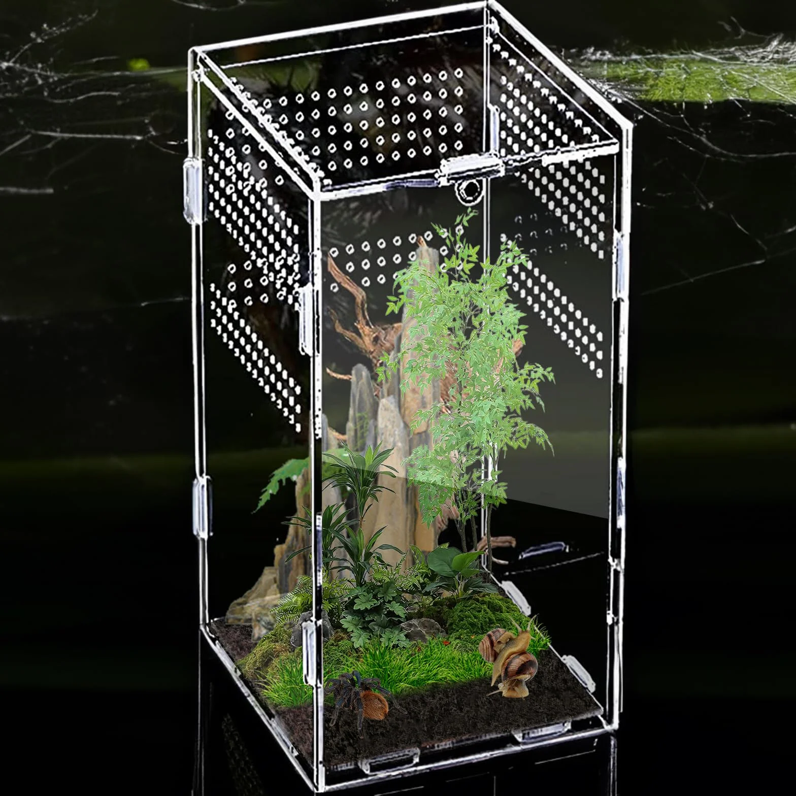 Nizirioo Terrarium acrylique 360° 12x12x20 cm pour araignée scorpion mante religieuse reptile