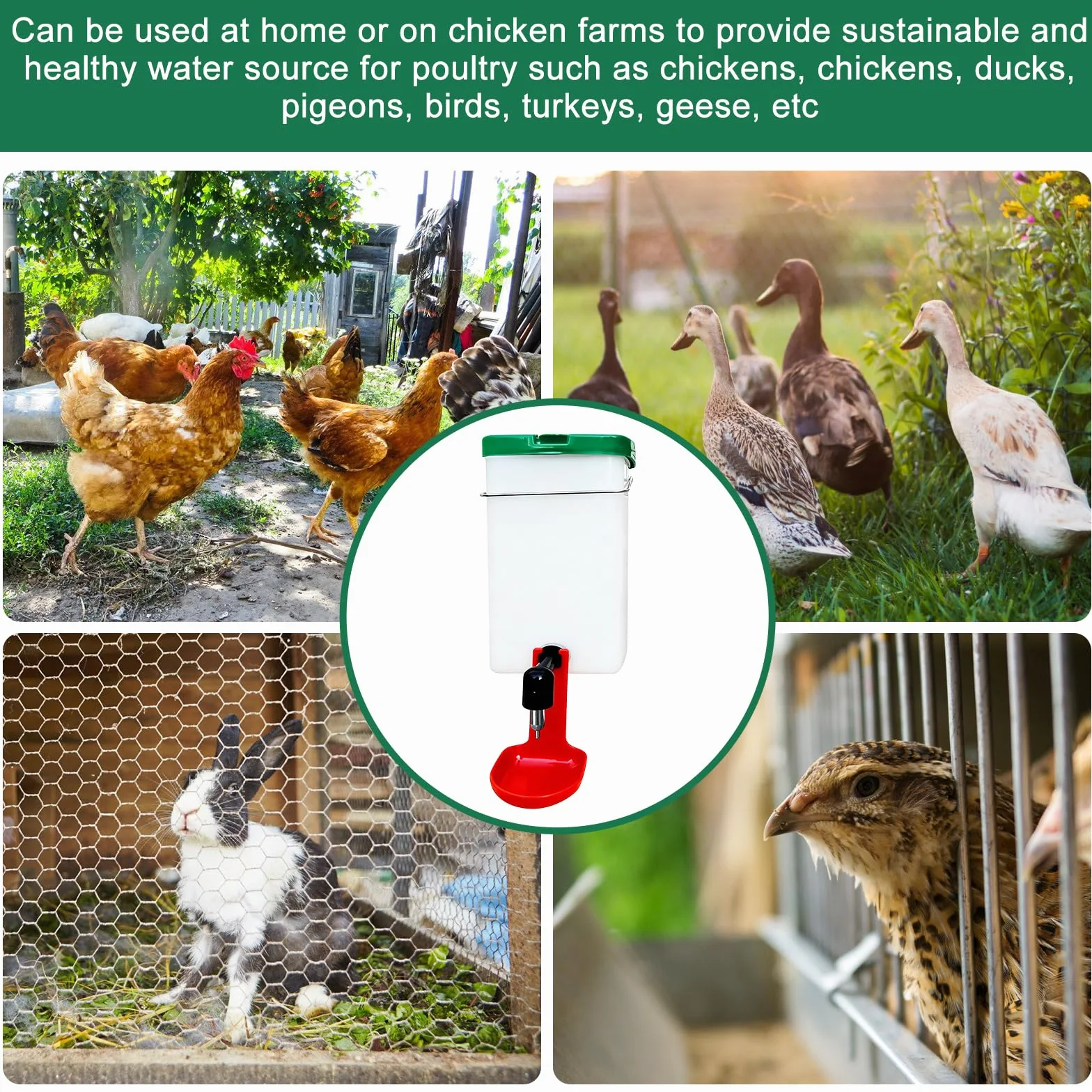 Lot de 3 abreuvoirs pour lapins 1000 ml distributeur d'eau automatique suspendu sans goutte pour rongeurs