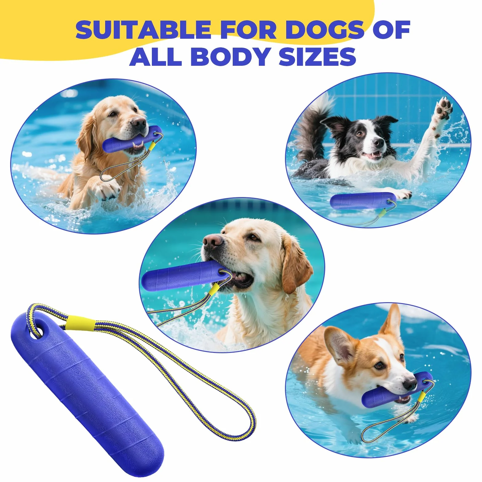 Jouet Interactif Chien avec Corde en Nylon, Ballon Flottant Increvable pour Piscine Extérieur