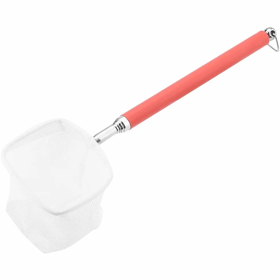 Petit filet télescopique pour poissons d'aquarium 18-53 cm Betta rouge