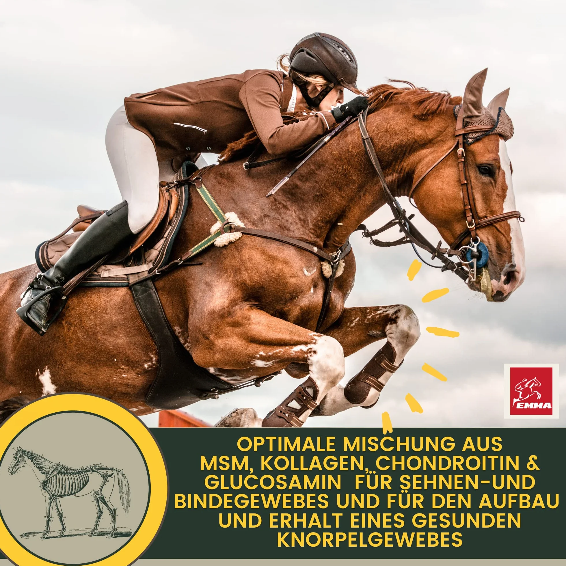 Cheval 1L Liquid Glucosamine & Chondroïtine Haute Dose avec MSM Complexe articulaire