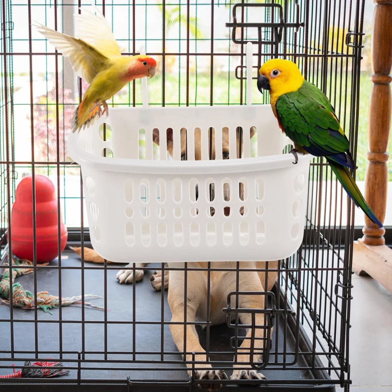 YARNOW Paniers Suspendus Design en Maille Respirante en PP Blanc pour Petits Animaux et Doux Peau Lot de 2 pour Cage de Gerbilles ou Sugar Gliders