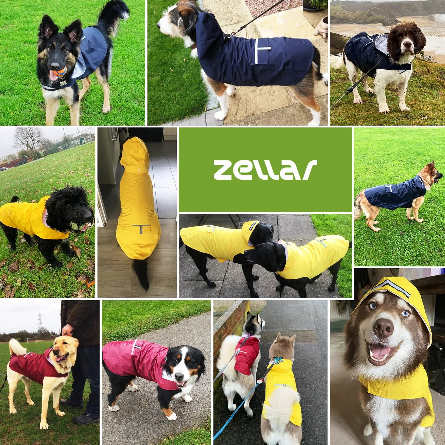 Imperméable pour Chien Zellar avec Capuchon, imperméable pour Chien 100% étanche ultraléger et aéré avec Bandes réfléchissantes pour Chiens Moyens à Grands(5XL, Bleu)