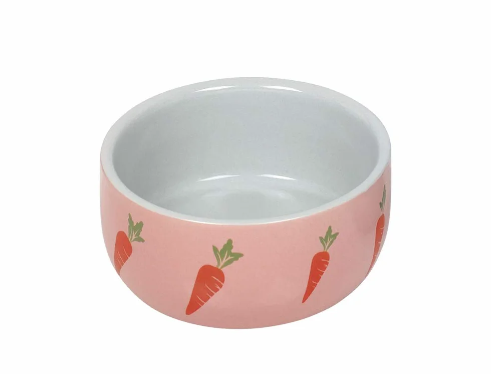Nobby Wortel Bol en céramique pour rongeurs Rose Ø 11 x 4,5 cm 0,3 l