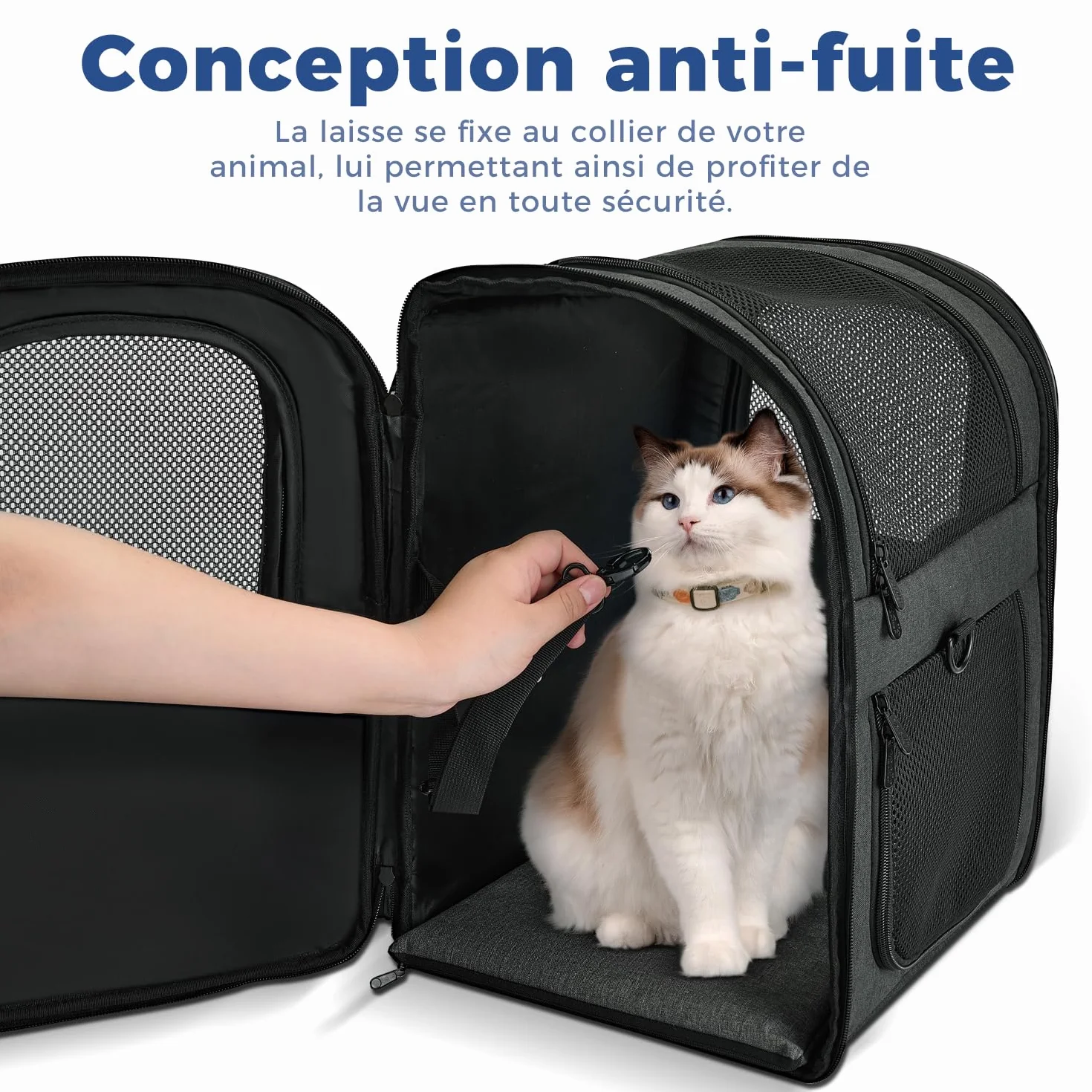 Apollo Walker Sac Transport Chat Chien pour Petits 5-12 kg 32L*30B*42H Sac à Dos en Maille Respirante pour Animaux de Compagnie Noir