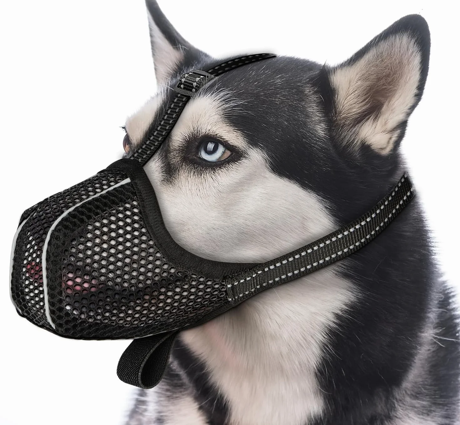 Museliere pour Chien， Empêche de Mâcher/Manger/Mordre Couvre, Muselière Respirante, Réfléchissante et Ajustable pour Museliere Chien(Noir_M)