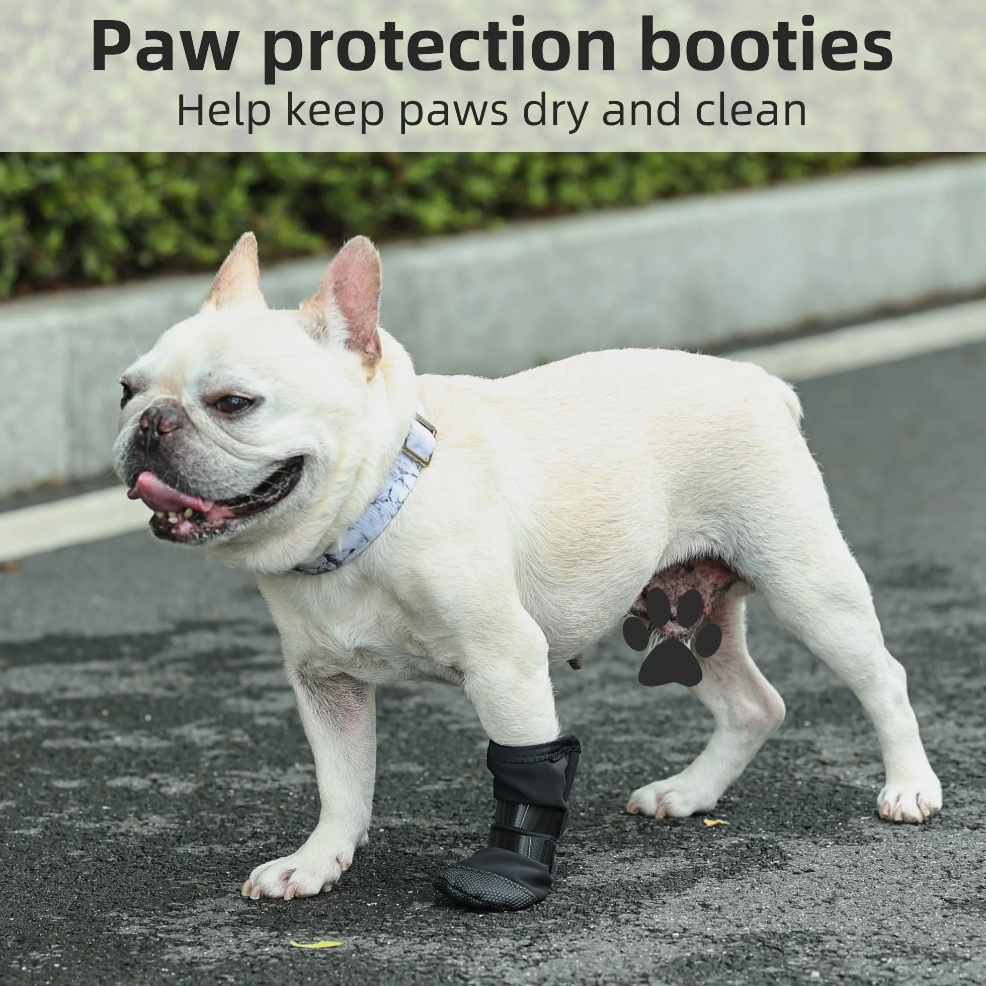 Chaussette de Protection en Silicone pour Chien, Chaussures pour Chien, Botte de Protection pour Chien, Chirurgical Housses de Protection des blessures, Bottes de Protéger pour Chiot Petits Moyens (M)
