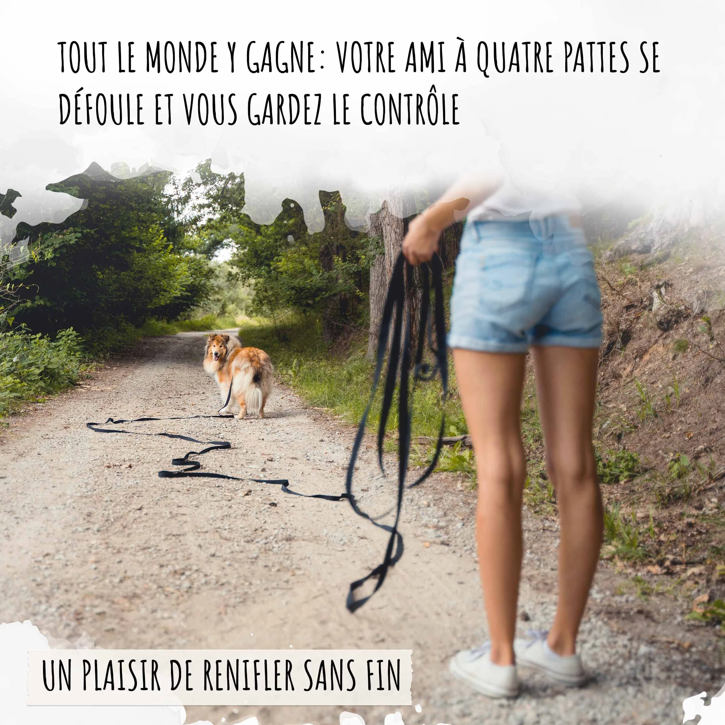 Rudelkönig Longe pour Chien 20m - Robuste et résistante aux intempéries - Longe avec poignée rembourrée - Laisse de Dressage pour Chien Pratique et Confortable