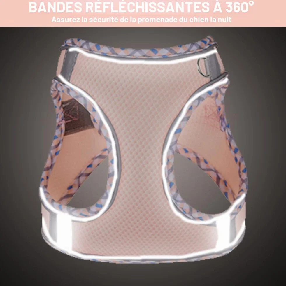 Harnais pour Chien Petite et Moyenne Taille, Harnais et Laisse pour Chiot, Maille Réfléchissante Respirable, Gilet Rembourré