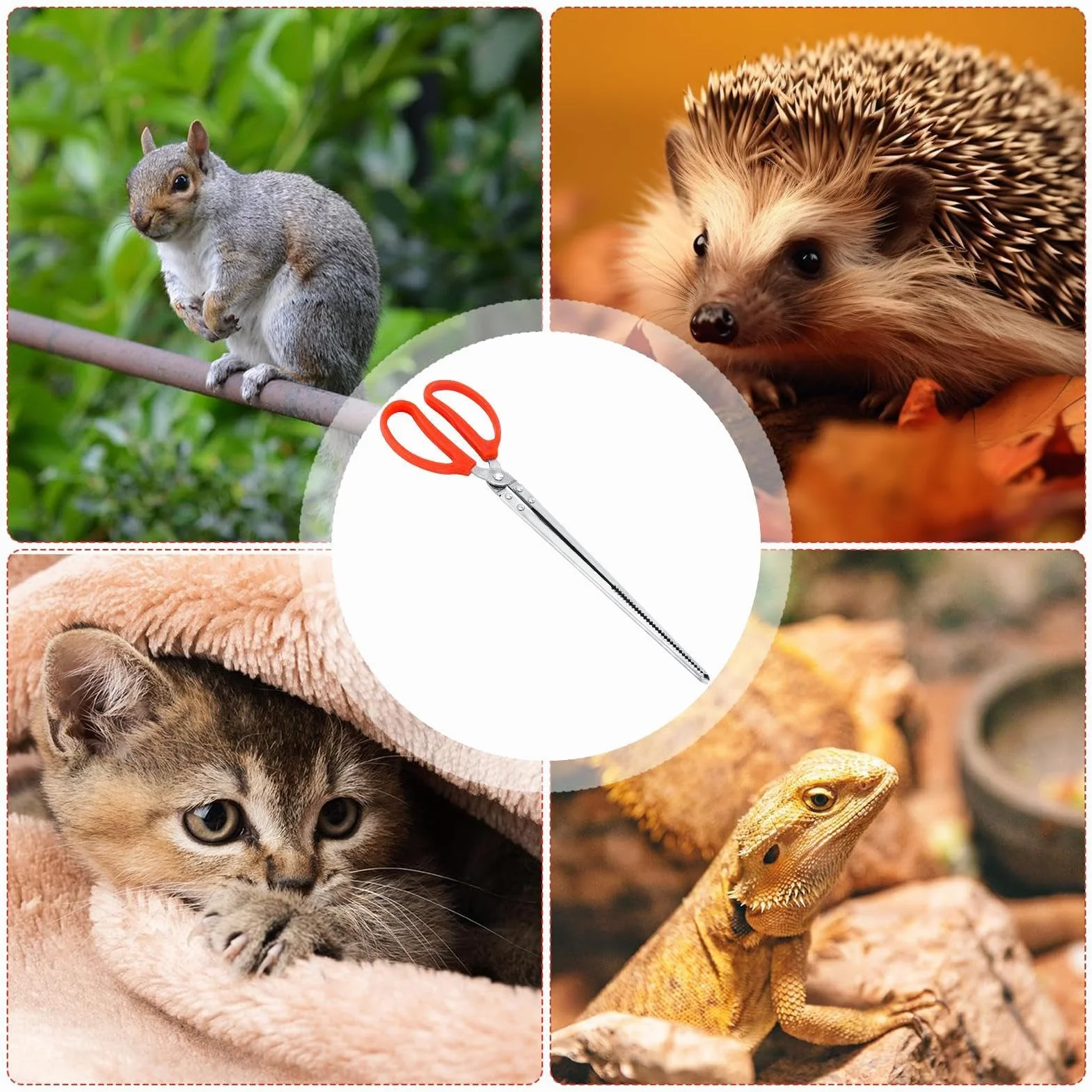 Pince d'alimentation extra longue pour reptiles et aquarium – incurvée, antidérapante