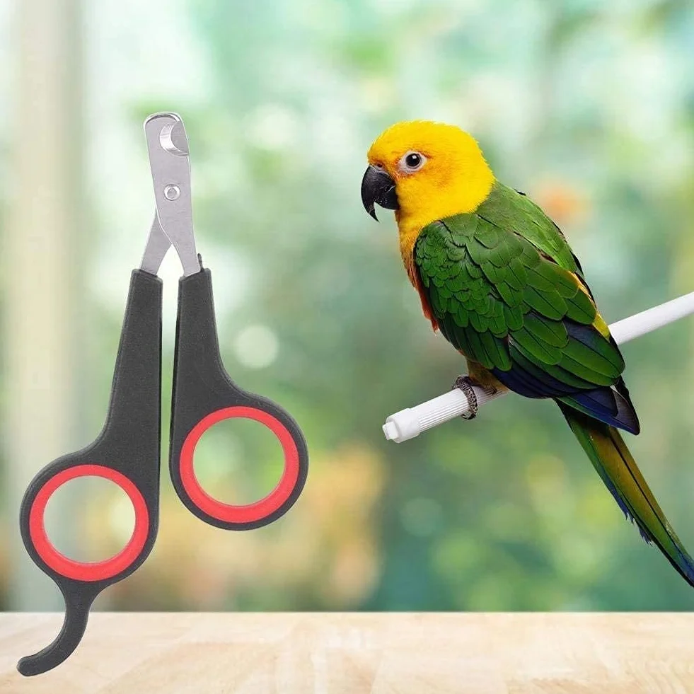 Ciseaux à Ongles pour Animaux de Compagnie Chien Chat Coupe-Ongles Oiseau Perroquet Griffe Tondeuse Professionnel