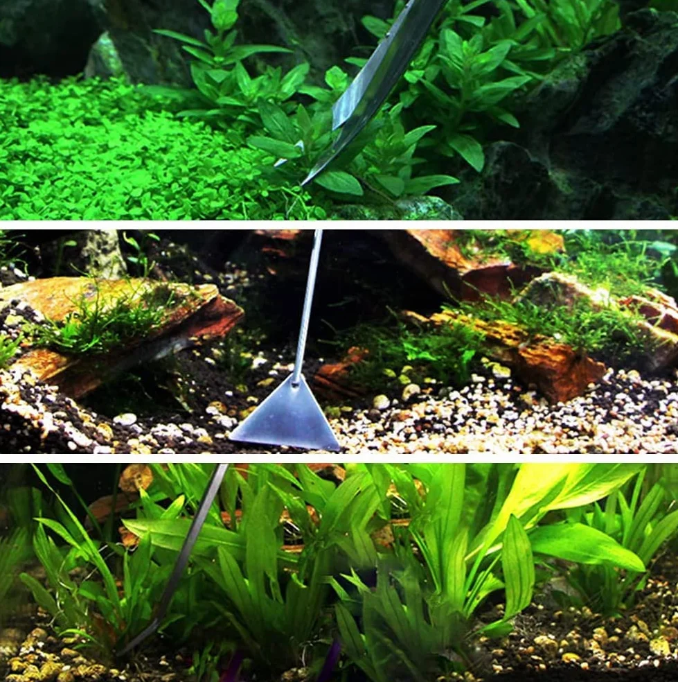 Aquarium Starter Set en Acier Inoxydable 6 Pièces Outils Aquariophile Débutant Pincettes Ciseaux Spatule Papier PH