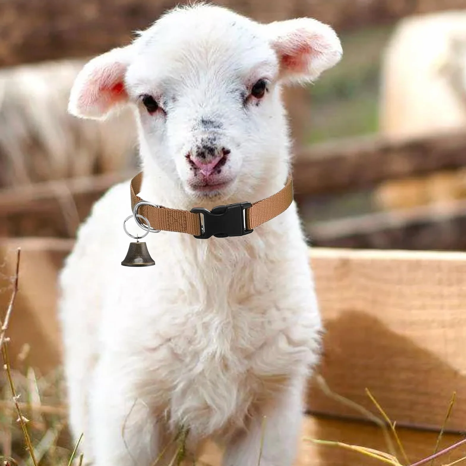 Colliers De Chèvre avec Clochettes, Collier Anti-dérapant Réglable pour Chèvre, Collier Cervical avec Boucle À Détachement Rapide Son Clair Design Anti-Perte pour Animaux De Ferme