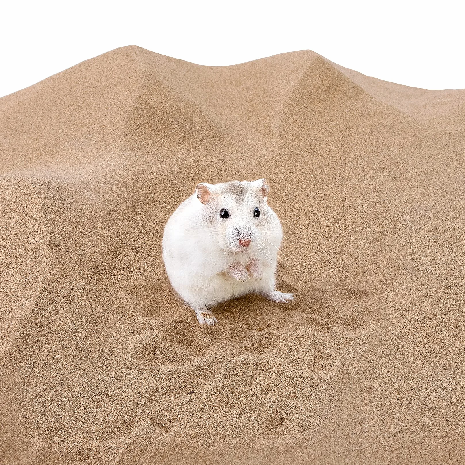 Niteangel Sable de Bain Désertique sans Poussière pour Hamsters, Chinchillas, Gerbilles, Souris, Dègues, 2.72 kg