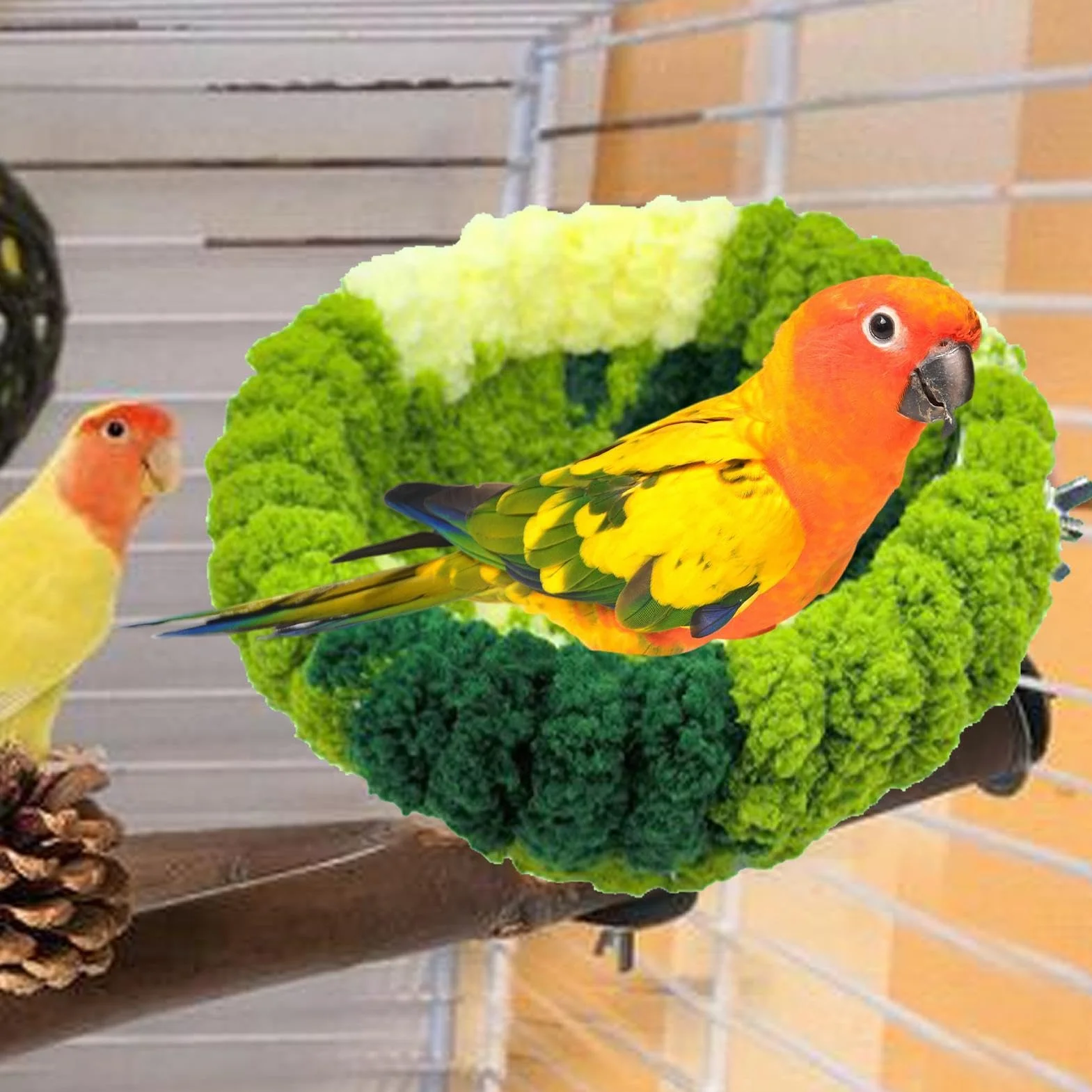 Cabane à Oiseaux Nid pour Perruche Calopsitte Perroquet Canari Abri Confortable