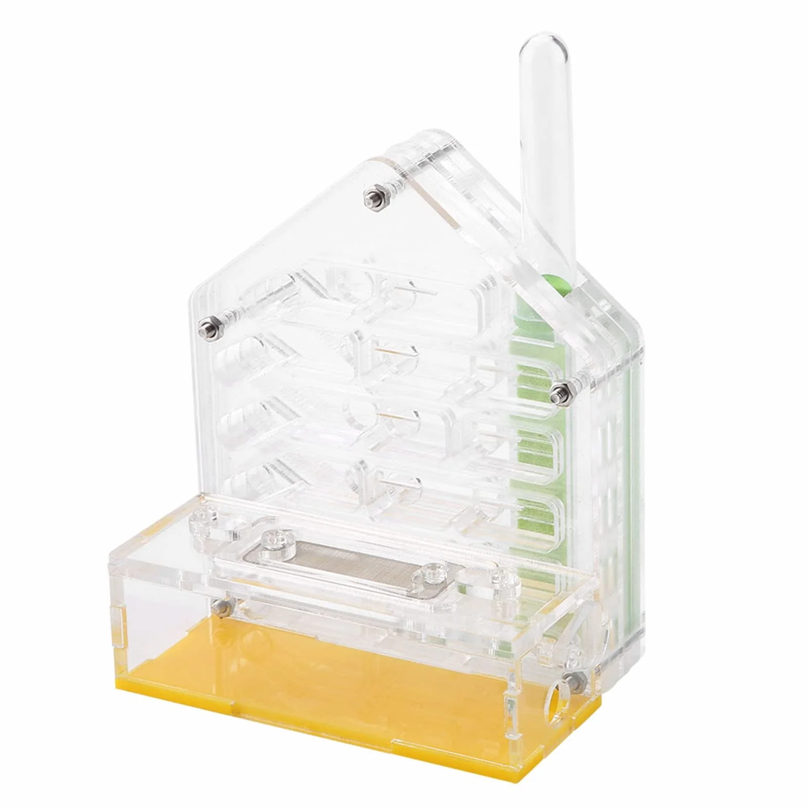Formicarium Nourriture pour Fourmis 12×11×8 Acrylic Farm The Farm is Alive
