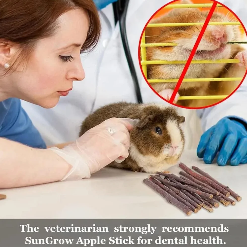 Bâtonnets de Pomme pour Animaux de Compagnie, Bâton à Mâcher De Pomme,Branche De Pomme Molaire,Petit Jouet pour Animaux De Compagnie,pour Chinchilla Cobaye Hamster Lapin