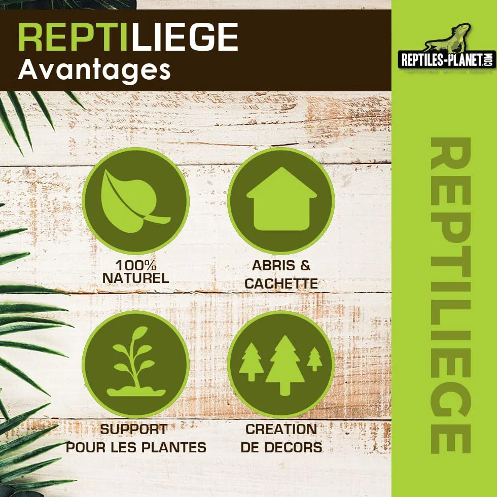 Reptiles Planet Assortiment de Liège pour Décoration de Terrarium 10 litres