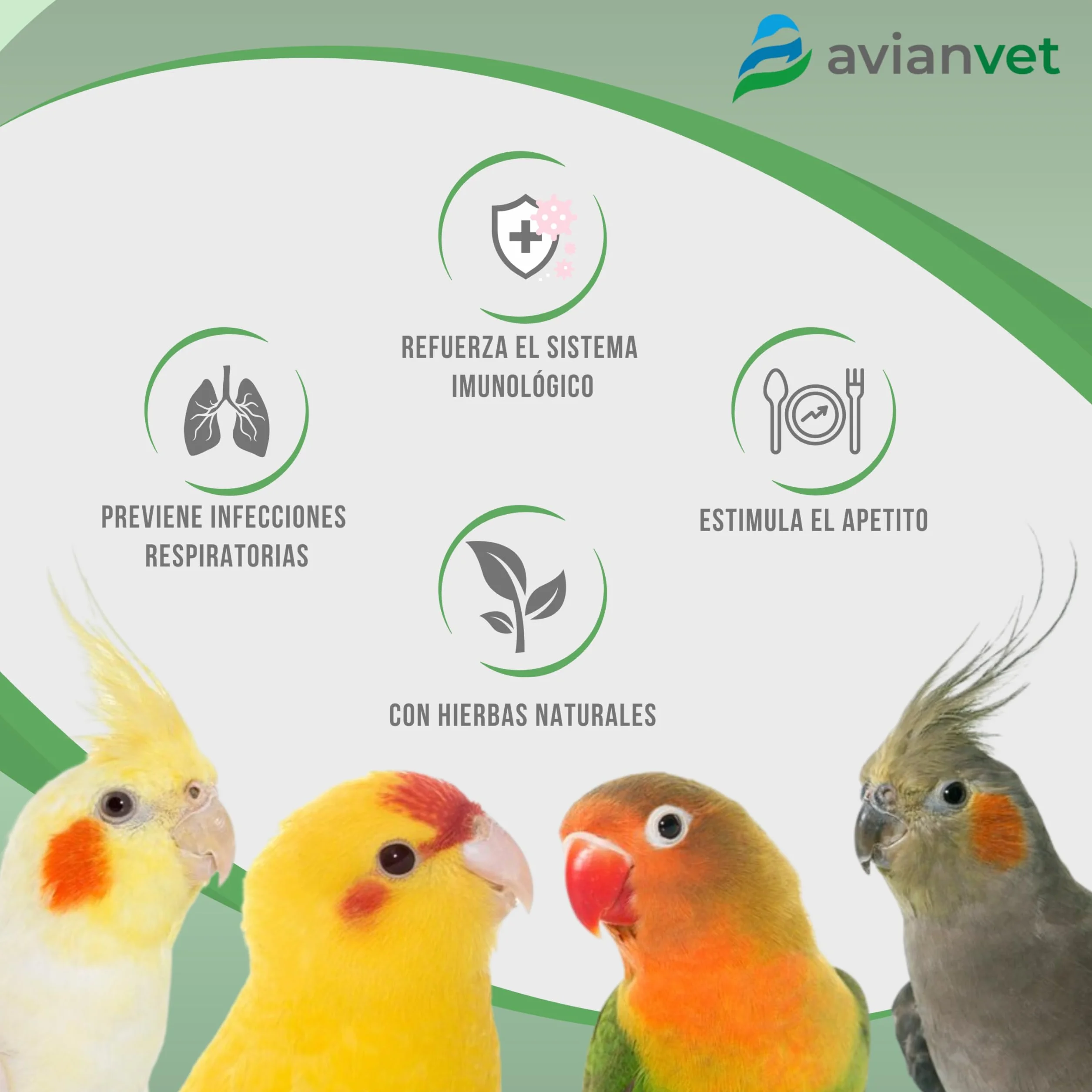 Respirer liquide pour oiseaux 15 ml réduit le risque d'infections respiratoires renforce le système immunitaire