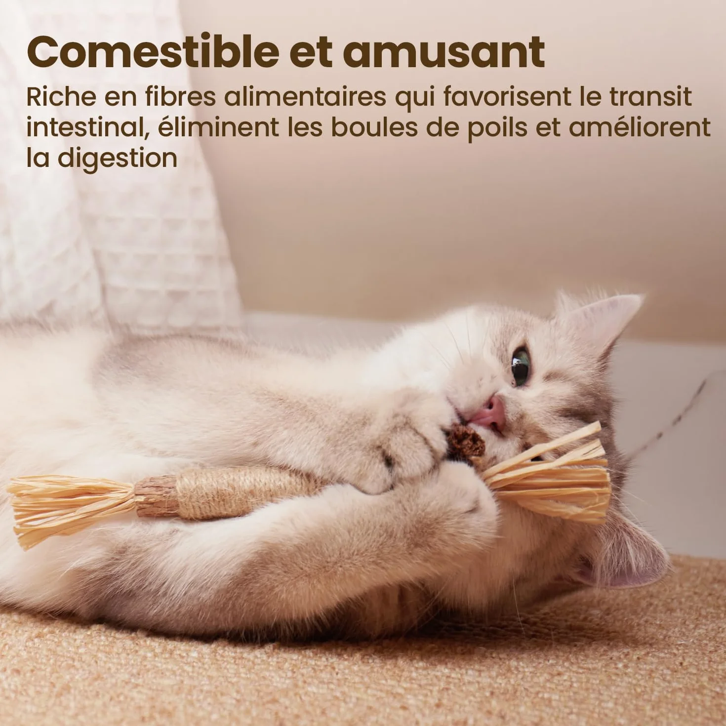 Potaroma Lot de 6 Bâtonnets Naturels pour Chats – Jouets à Mâcher avec Cataire & Silvervine