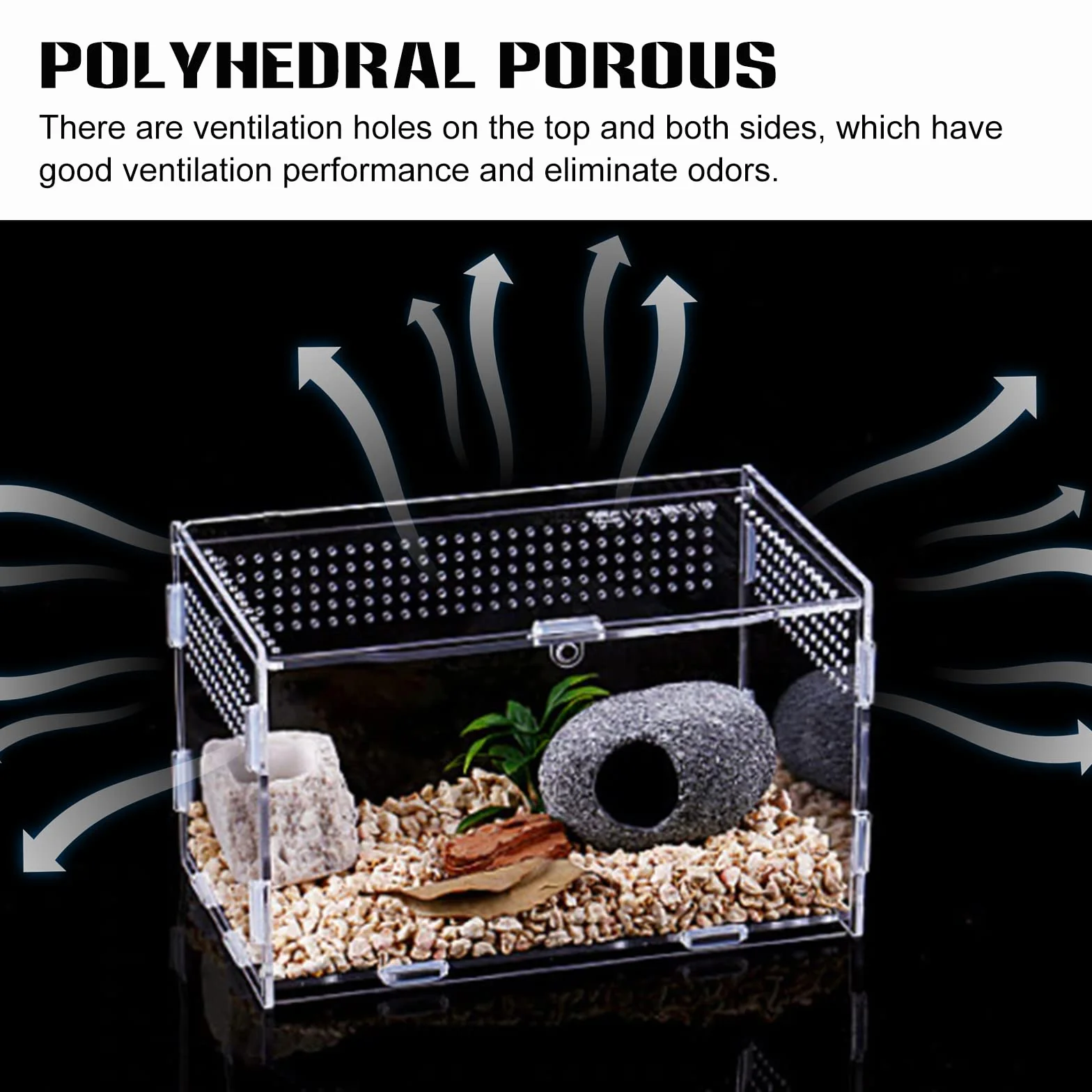 Nizirioo Boîte d'alimentation d'insectes 20cmx12cmx12cm Terrarium Reptile Transparent Portable