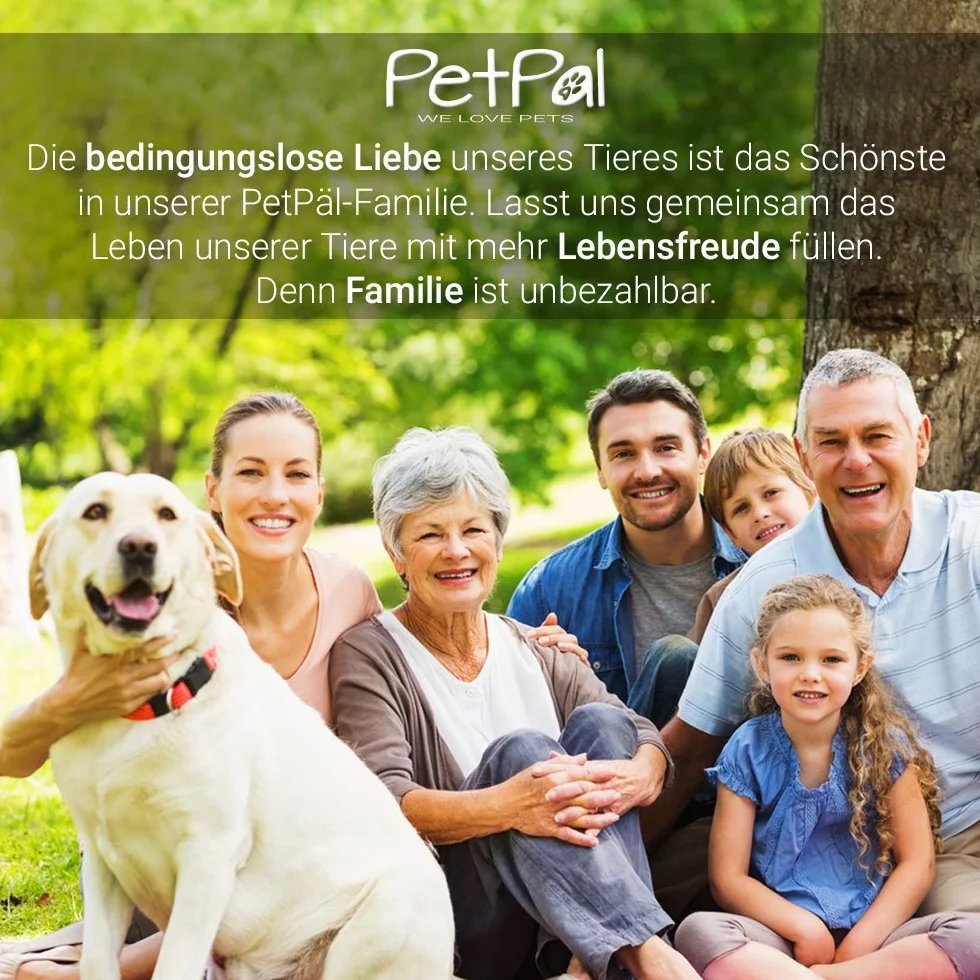 PetPäl Peigne Anti-puces pour Chien & Chat – Peigne Antipuces Professionnel