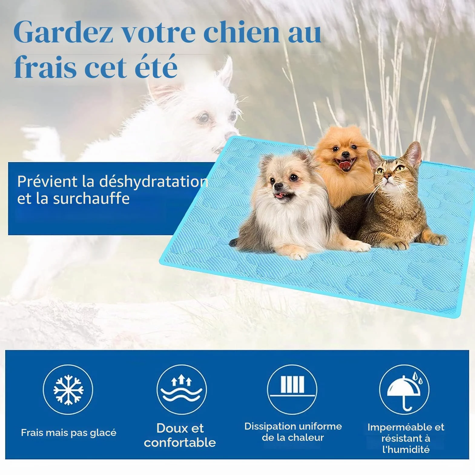 Tapis rafraîchissant pour Chien 100x70 cm Auto-rafraîchissant XL