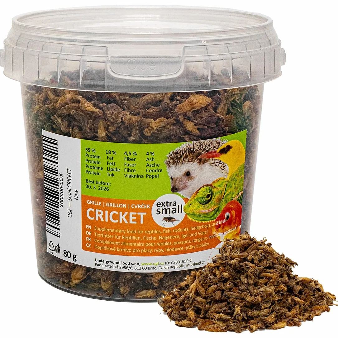 UGF - Grillons séchés (Petits) - 80 g en Pot de 500 ML, Insectes, Nourriture pour Oiseaux Sauvages (Toute l'année), Tortues, hérissons, lézards, Poissons