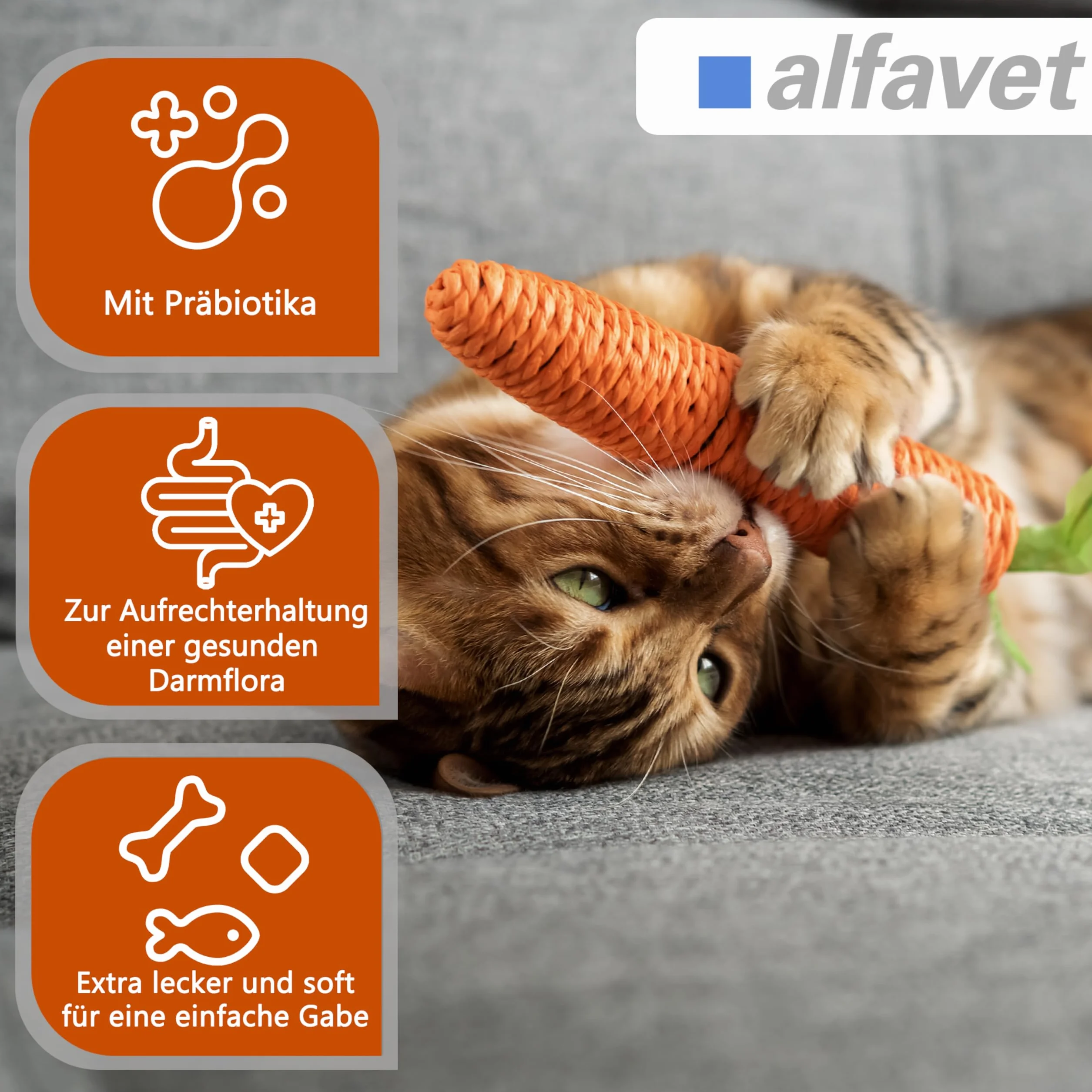 Alfavet FeliGum Dia complément alimentaire diarrhée chats pastilles à mâcher 40 g
