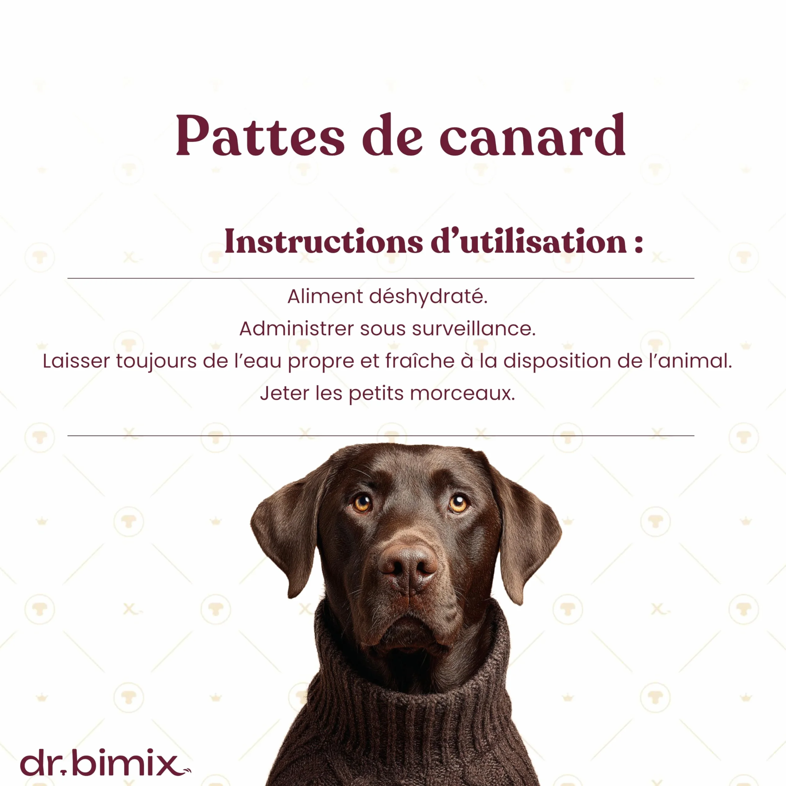 Pattes de Canard pour Chiens Friandises Naturelles Riches en protéines collagène 450 g