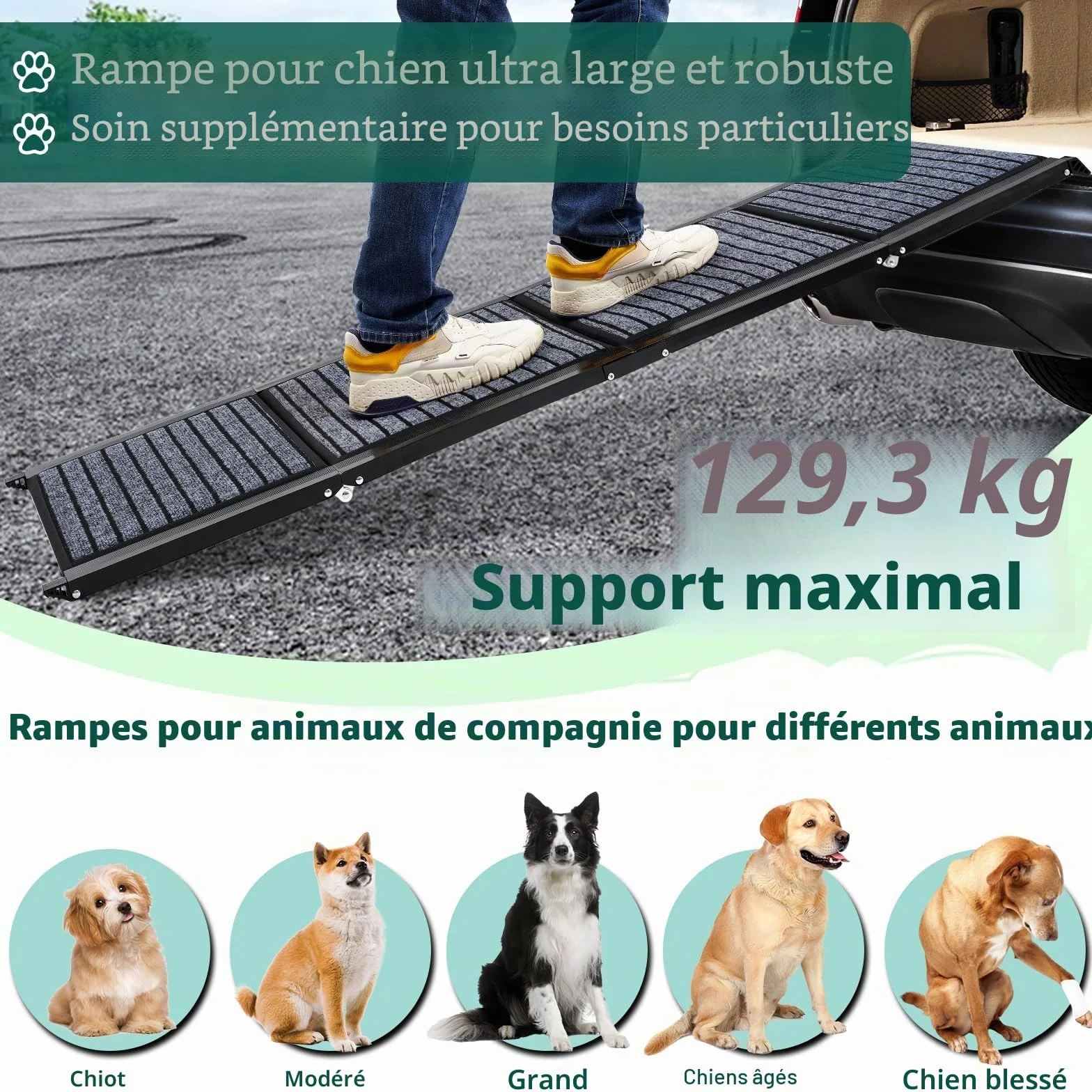 Rampe pliable pour chien 180 cm x 50 cm avec tapis antidérapant extérieur SUV camion