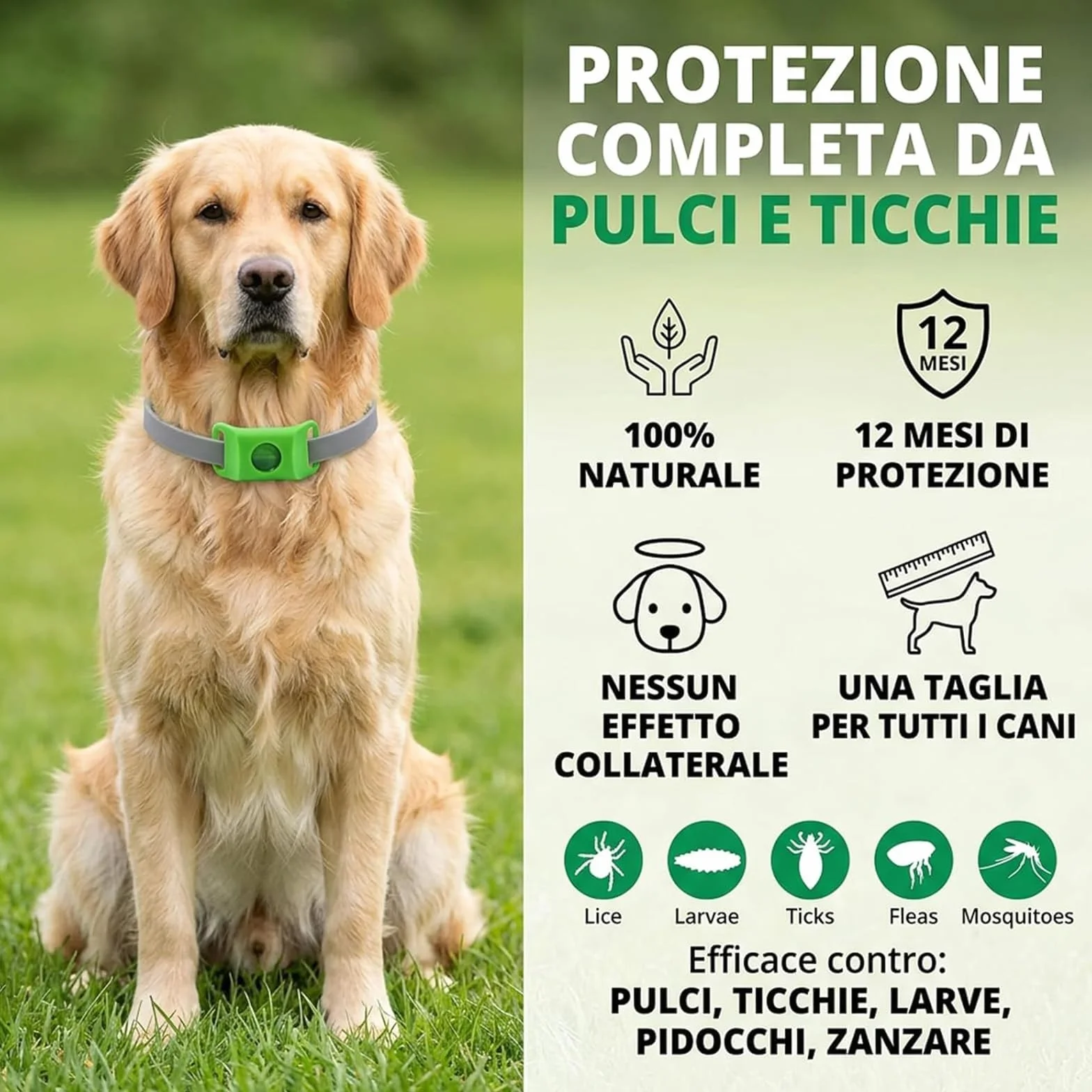 Collier Anti Puce et Tique Naturel pour Chien, Répulsif Huiles Essentielles 2 Capsules Remplaçables, Réglable Compatible AirTag Vert