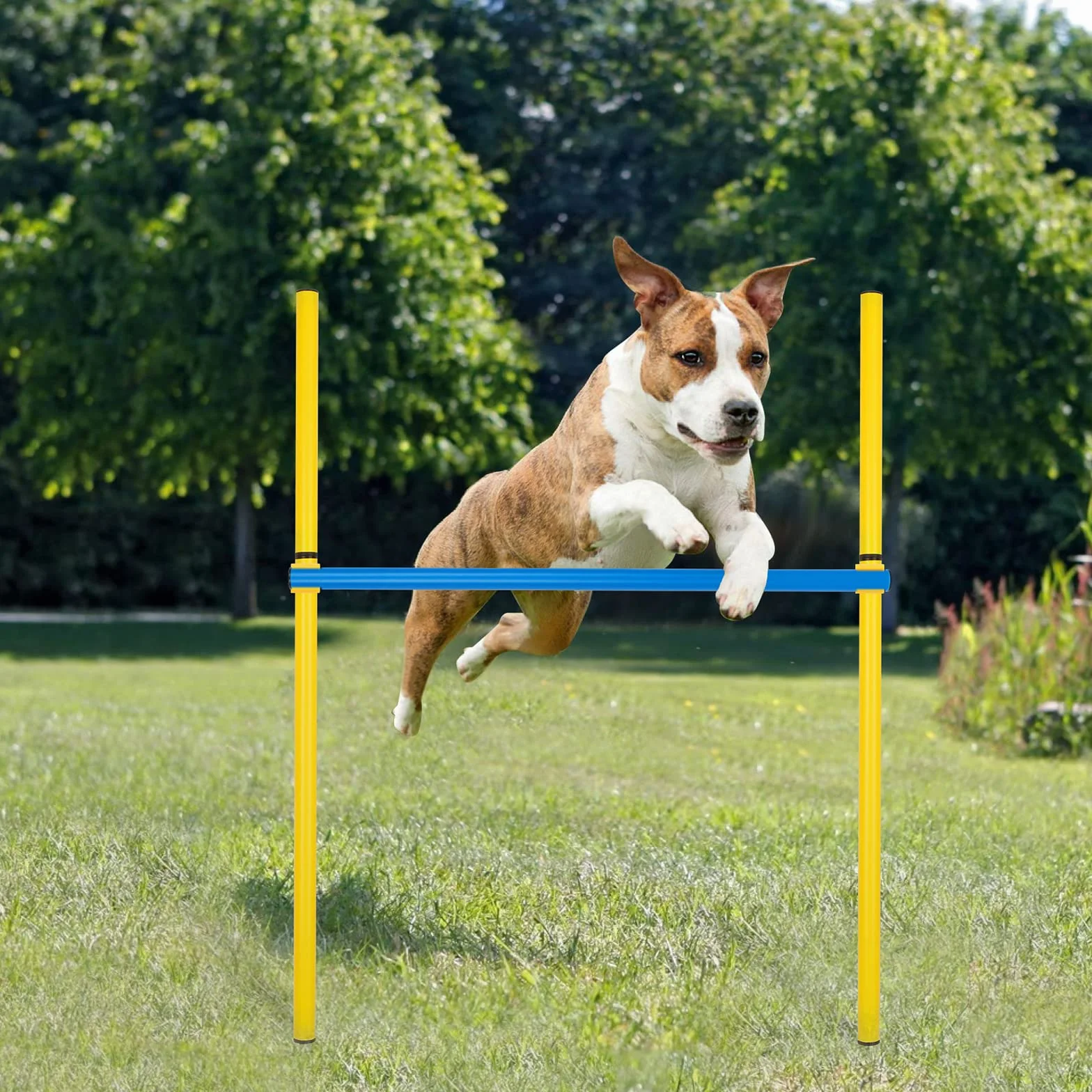 Kit Agility pour Chien Équipement Parcours Obstacle Anneau Tunnel Haies Slalom