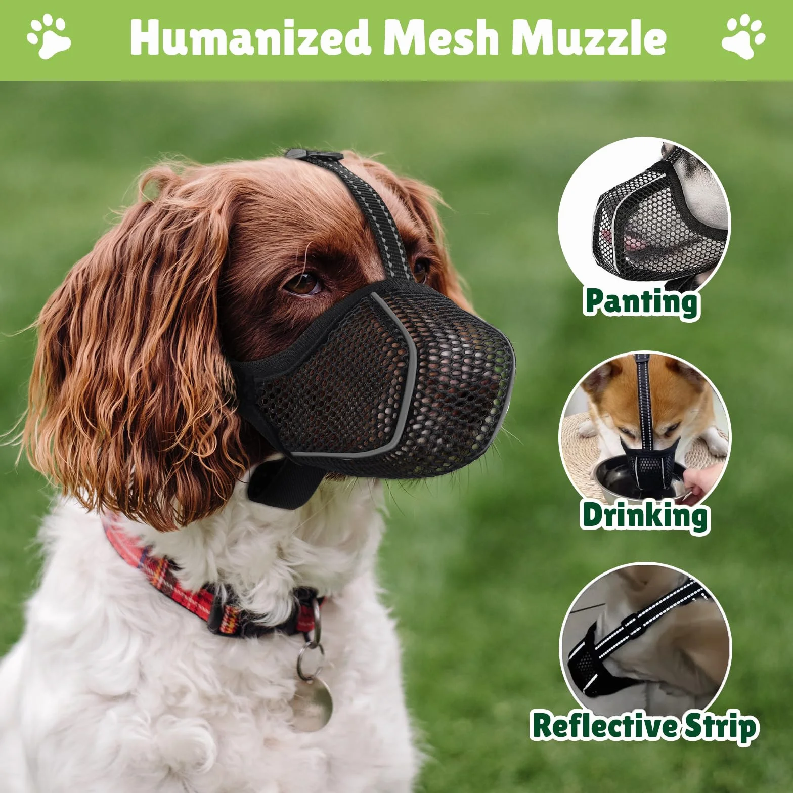 Muselières pour Chiens Anti-Grignotage, Colliers pour Chiens, Muselières Respirantes Réglables pour Animaux de Compagnie,Prévenir l'ingestion Accidentelle,Convient Animaux de Moyenne Taille(M)