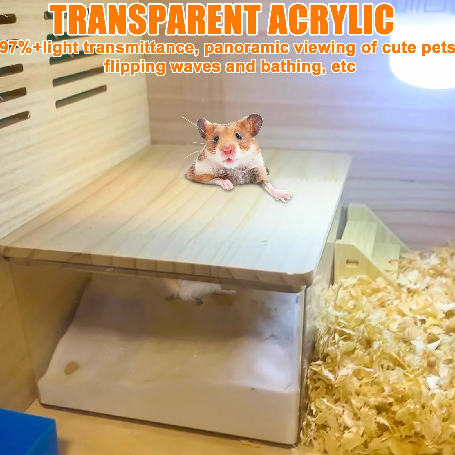 Hamster Salle de bain de sable transparent avec échelle et pelle, carré