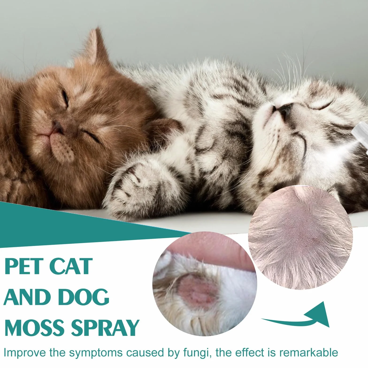 Spray Antiseptique pour Chiens et Chats, Soin des Plaies, Cicatrisation, 1PC