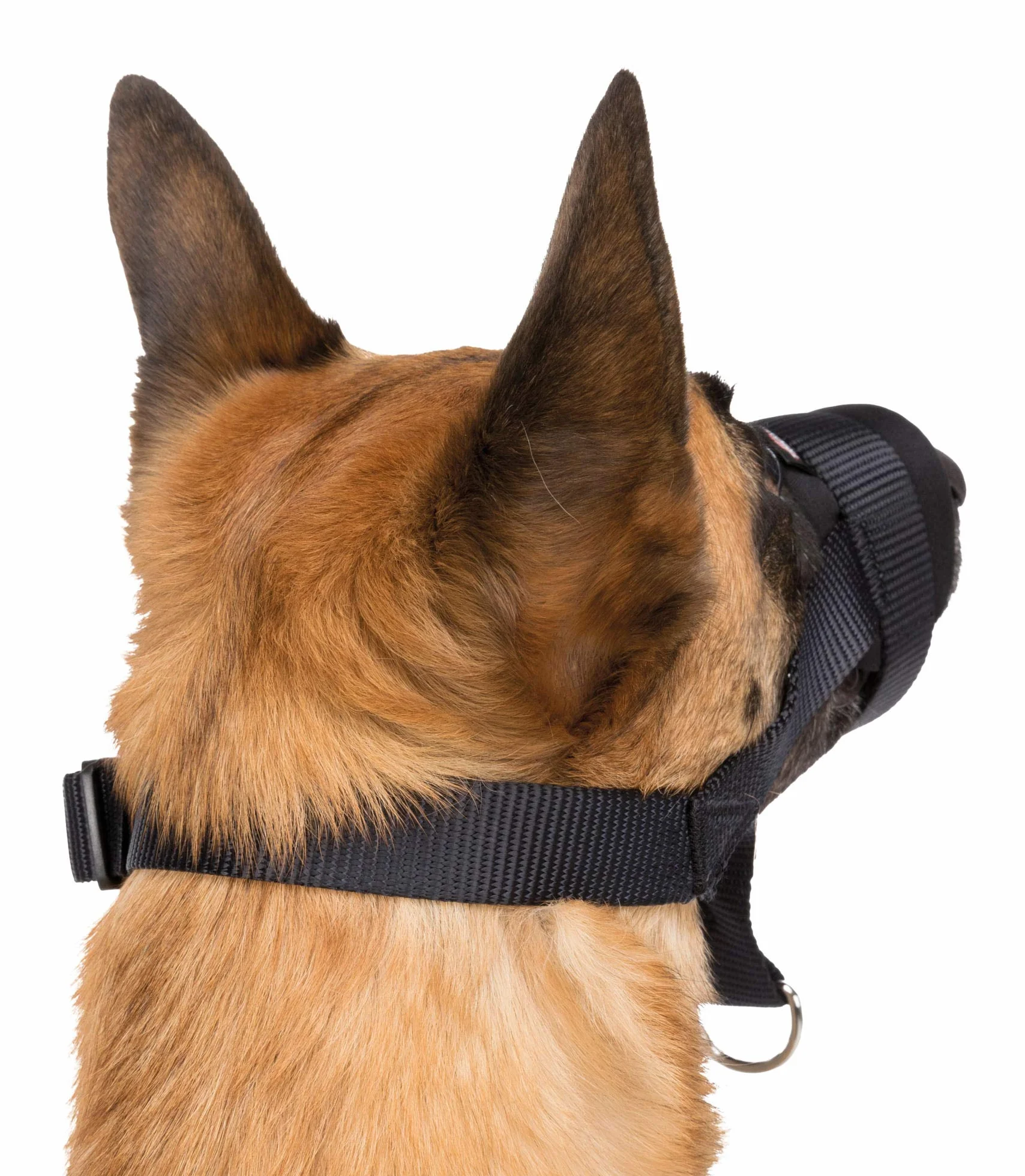 TRIXIE Muselière à ruban en nylon, dressage, XL-XXL, noire, chien