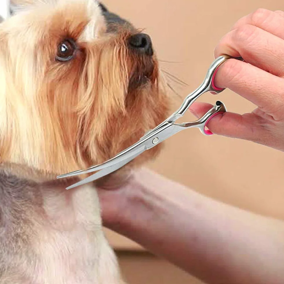 Ciseaux de Toilettage pour Chiens, 6 Pouces, Acier Inoxydable 304, Réglable, Incurvé, Ambidextre, Pour la Coupe de cheveux des Animaux de Compagnie