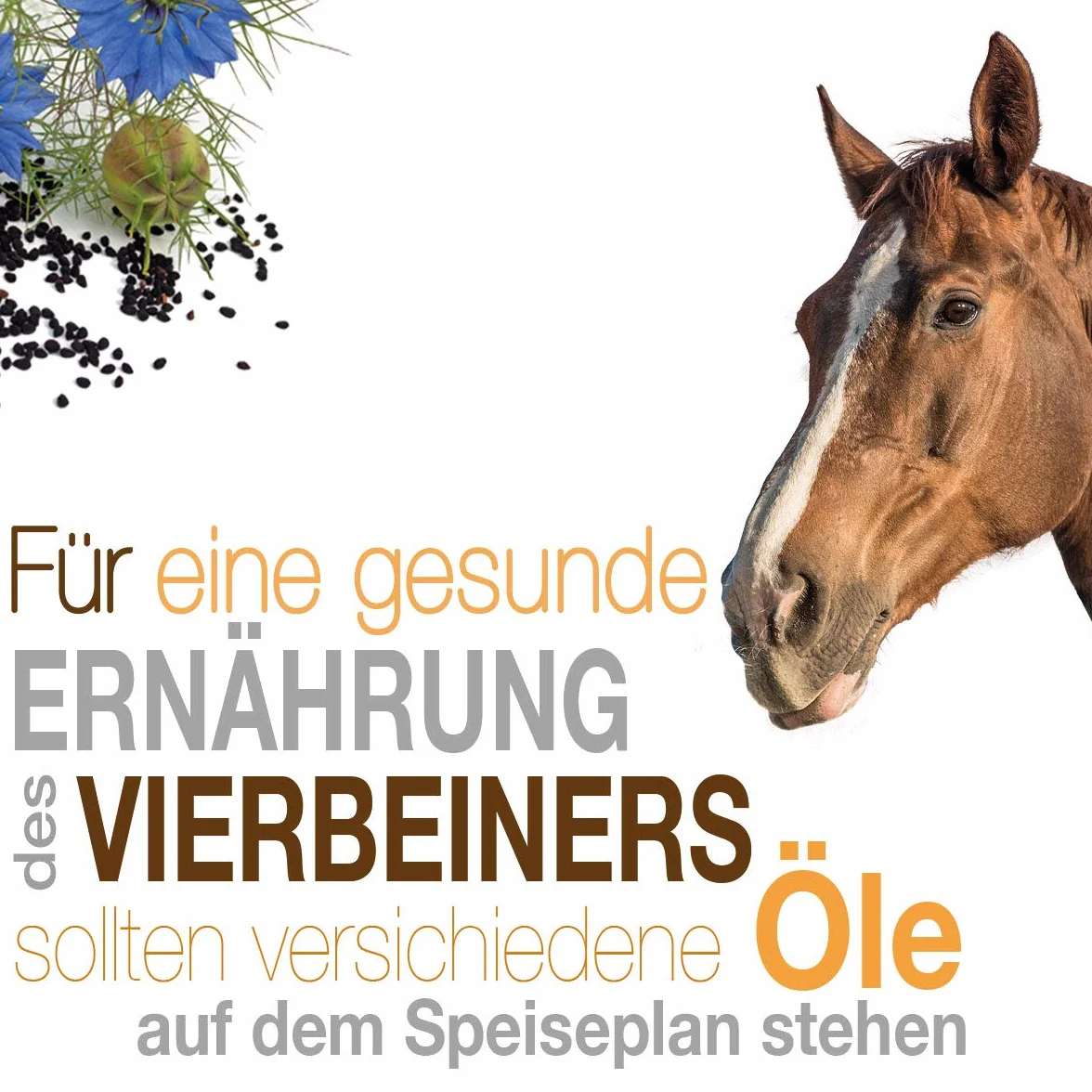 Naturzade Huile de germe de riz pour cheval Bidon 5 l