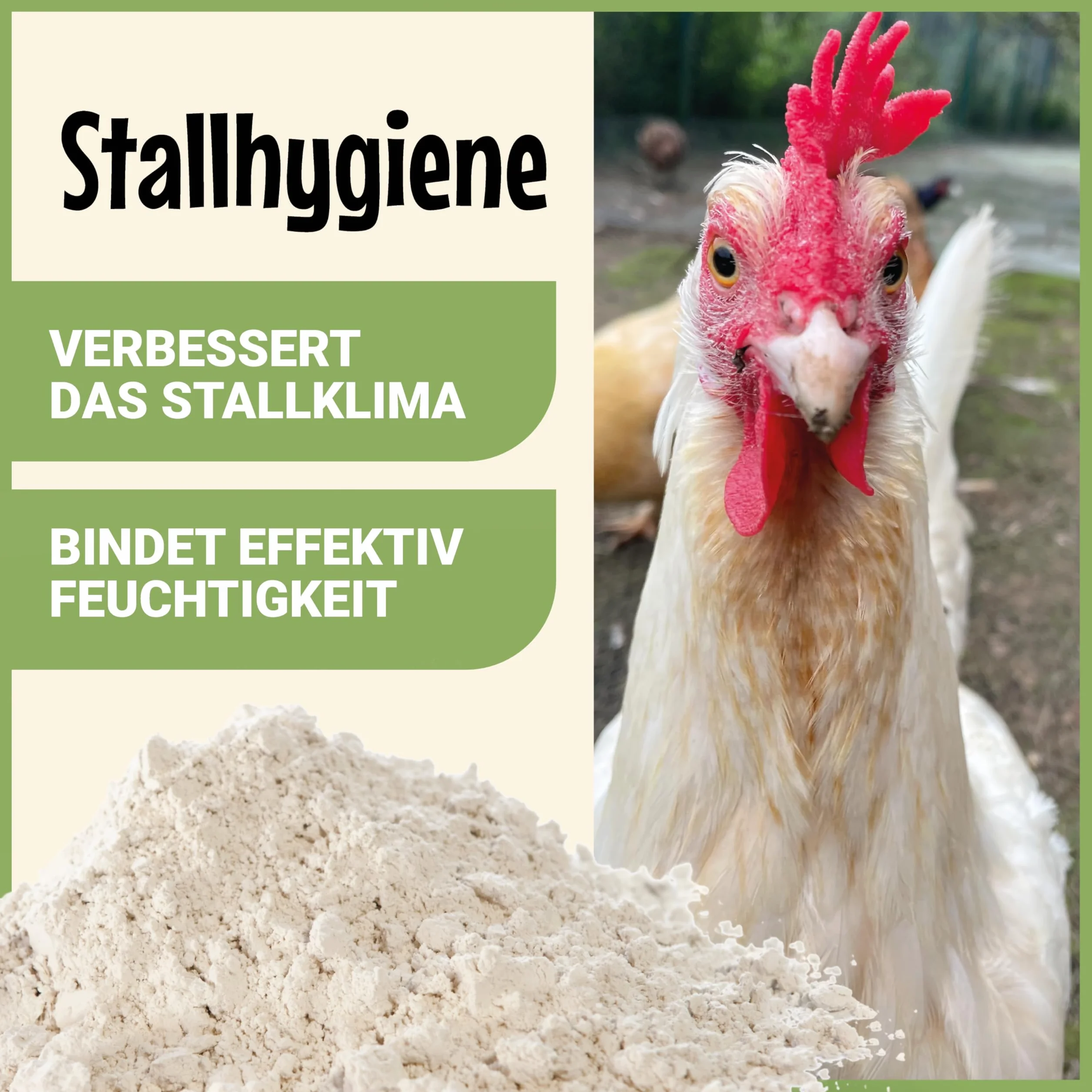 Poudre de terre de diatomée 2,2 kg pour poules et volailles – produit naturel d’entretien