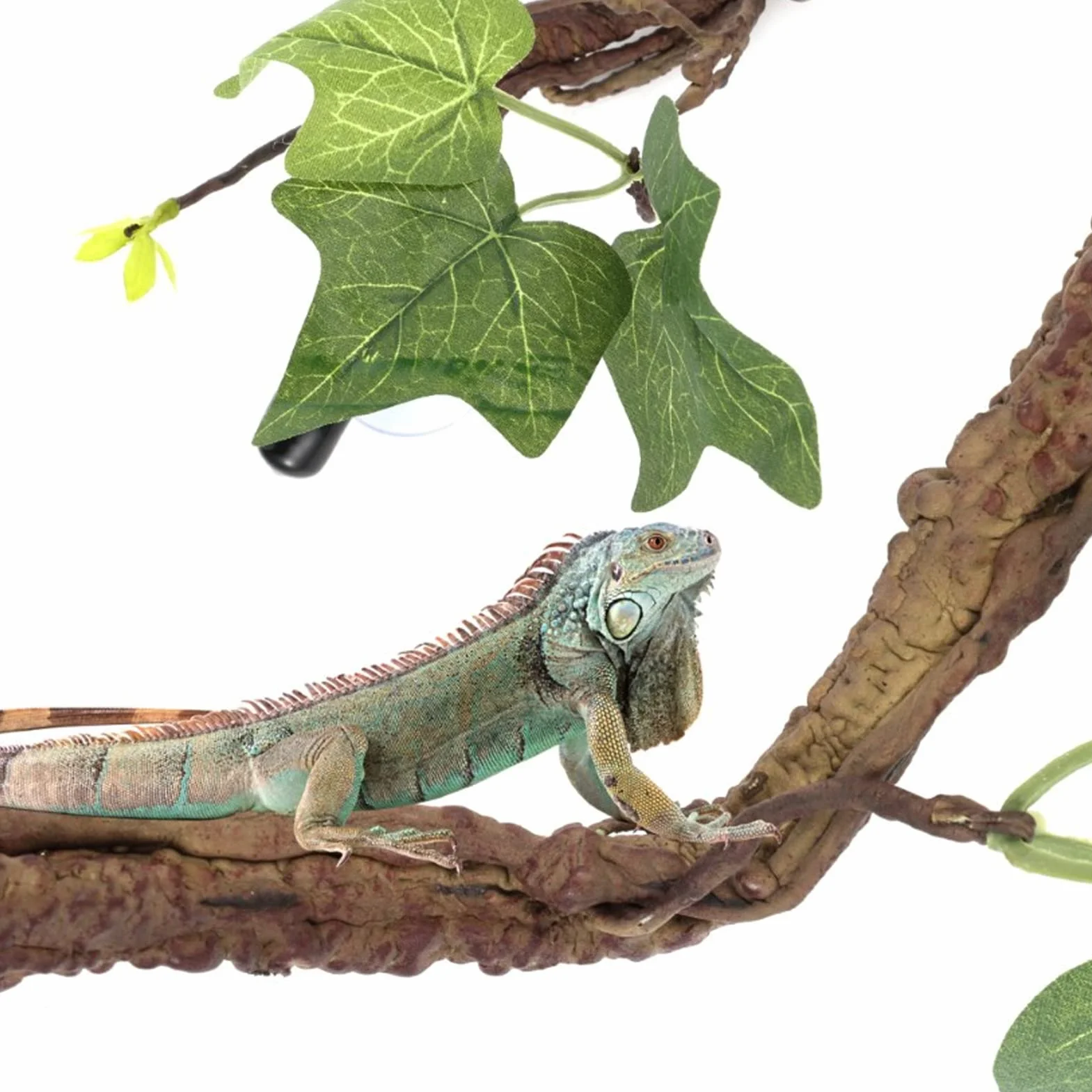 Branches de Reptiles, Vignes de Reptiles avec Ventouses, Branche d'angle de Reptile, Décoration de Plantes de Terrarium, Plantes de Reptiles pour Amphibiens, Lézards, Serpent,
