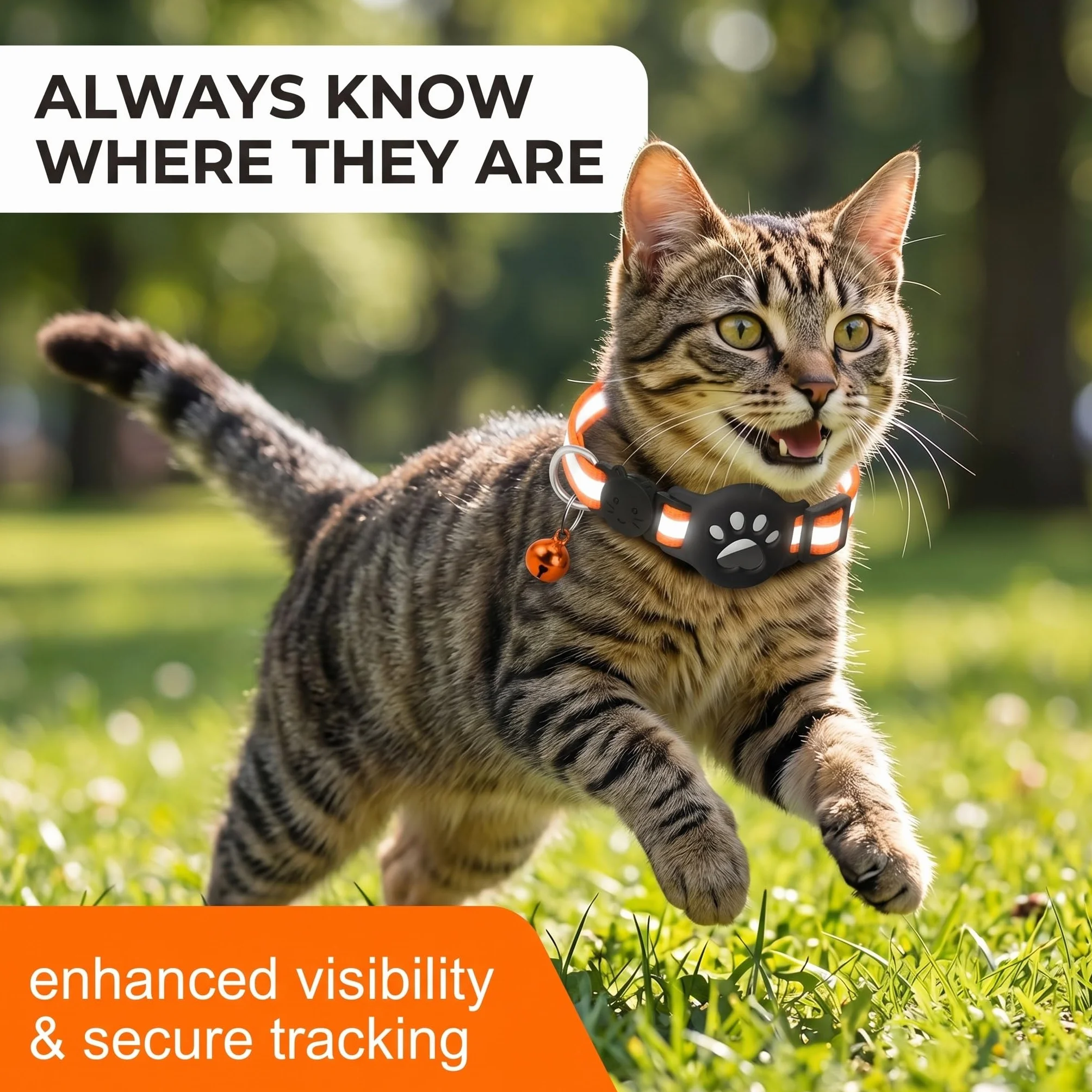 Collier Chat Support Airtag GPS Réfléchissant Extensible Orange Silicone Anti étranglement Chats Chiots