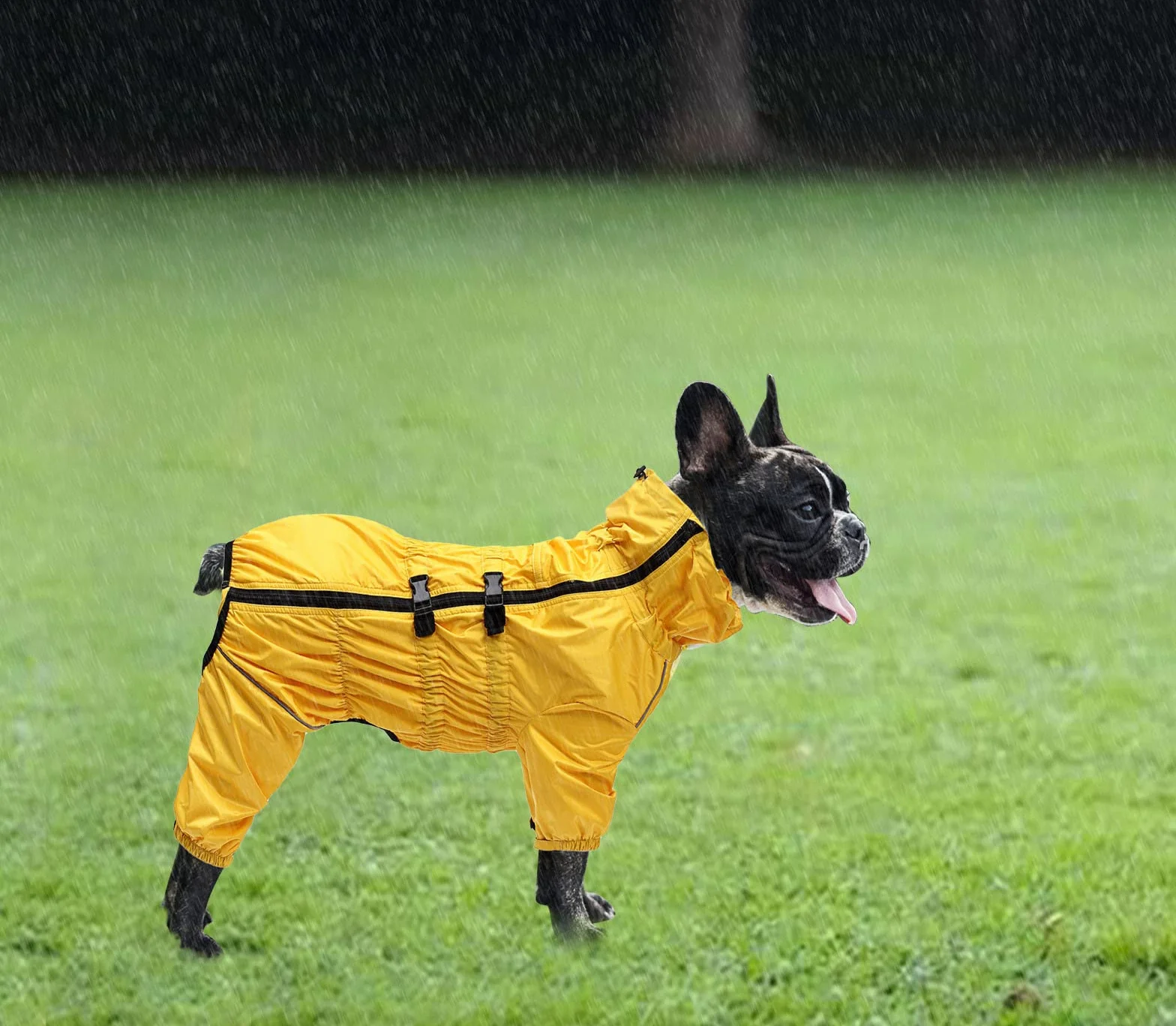 Geyecete - Extensible 1/2 Jambe Costume Combinaison pour Chiens, Manteaux imperméable pour Chien avec Fermeture éclair e Nylon Boucle,pour Chiens de Grande, Petite et Moyenne Taille-Jaune-XXXL