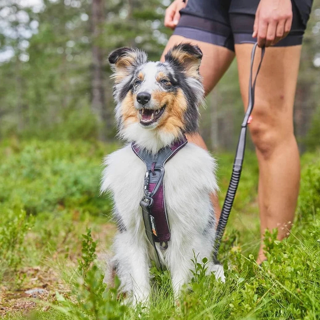 Non-stop dogwear Harnais Line 5.0 | 216 | Guide et harnais de tous les jours, couleur : bleu, taille : G 4