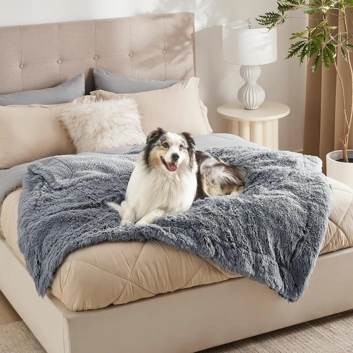 Couverture imperméable pour chien et chat de grande et moyenne taille – Couverture étanche pour canapé-lit – Tapis de couchage doux et chaud pour chaton (beige, 145 x 165 cm)