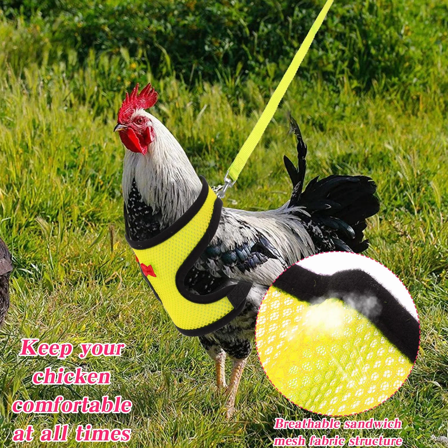 Harnais et laisse réglables en nylon pour poules canards oies petits animaux (rose, M)